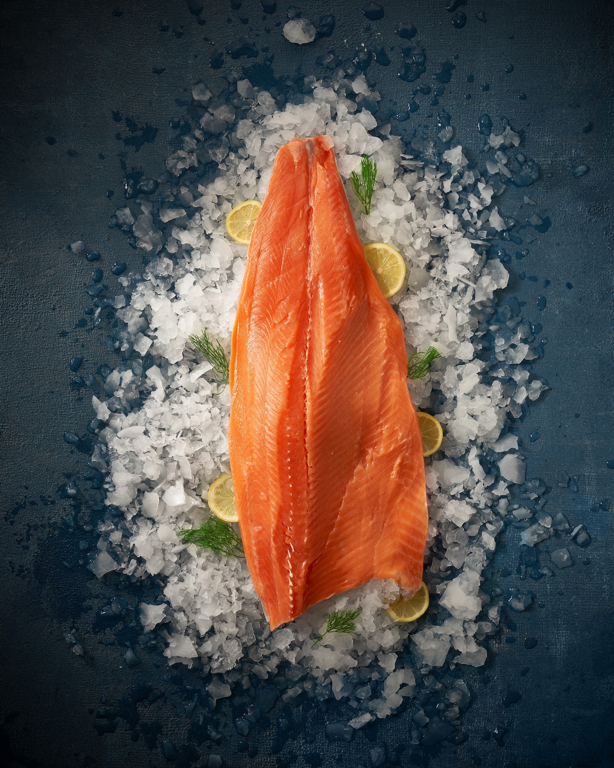 Salmon Fillet Whole Side 1300-1500 gm