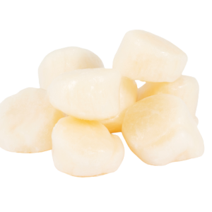Sea Scallops 1 Kg